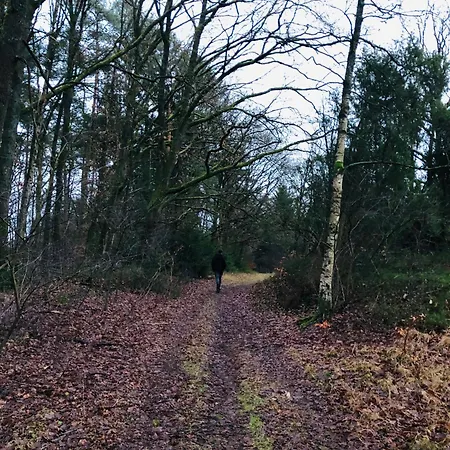 Haus Sonnenschein Tatil Evi