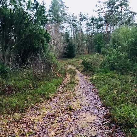 Haus Sonnenschein Tatil Evi *