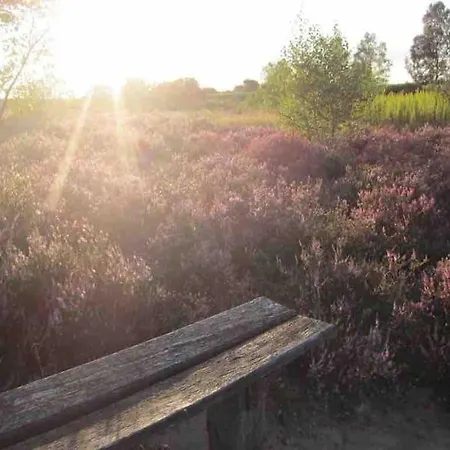 Tatil Evi Haus Sonnenschein *