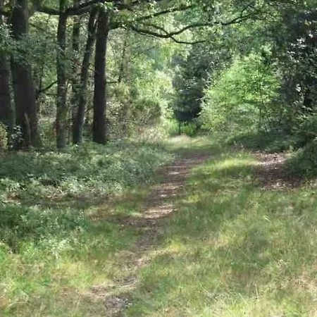 Haus Sonnenschein Tatil Evi *