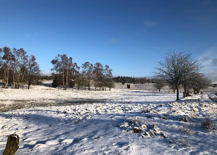 Haus Sonnenschein Feriehus