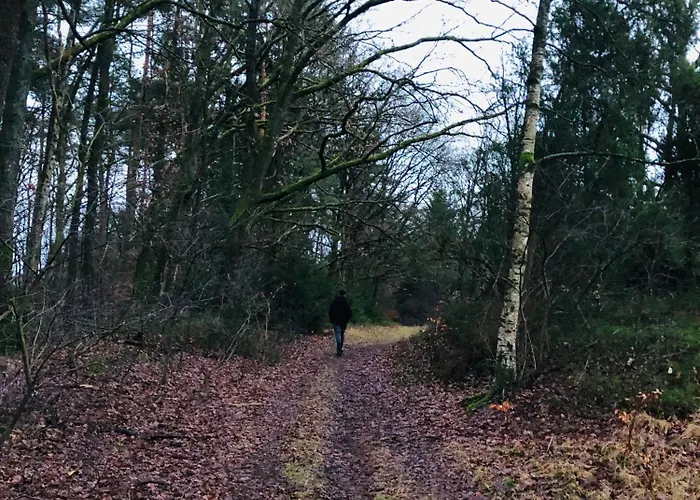Haus Sonnenschein Feriehus