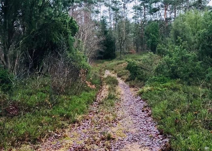 Haus Sonnenschein Feriehus *