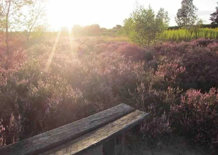 Feriehus Haus Sonnenschein *