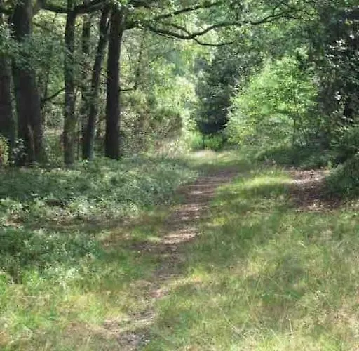 Haus Sonnenschein Feriehus *